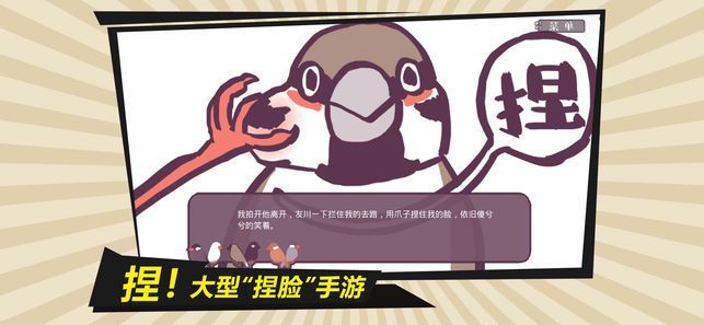 文鸟恋爱物语 文鸟恋爱物语