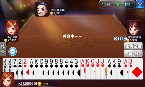 白金岛二七王