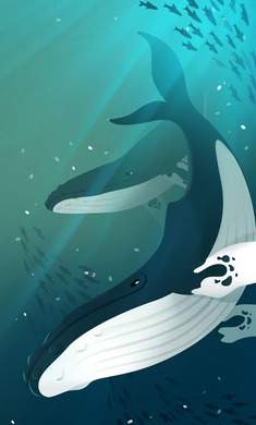 深海水族馆 深海水族馆