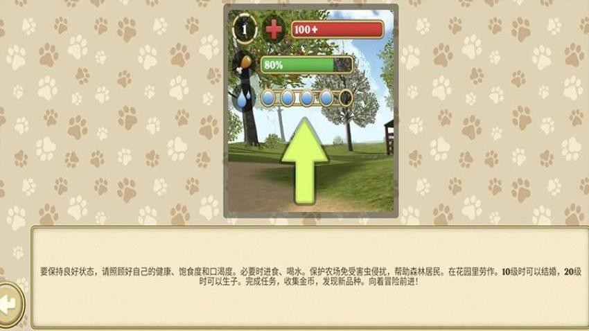 小猫官方最新版 小猫官方最新版