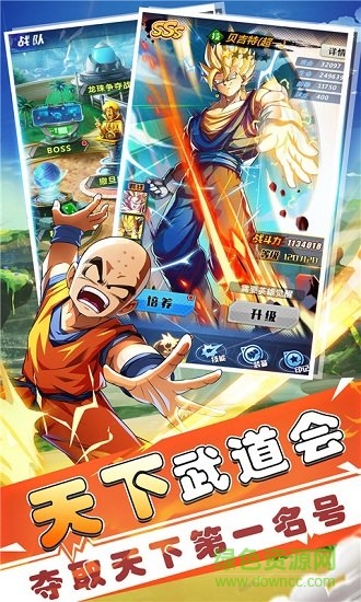 赛亚龙珠