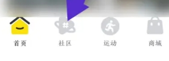 坚蛋运动