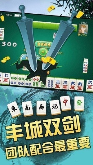 丰城棋牌手游正式版