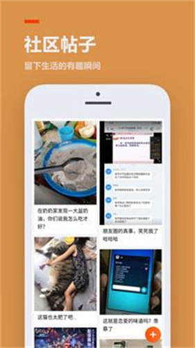 233乐园旧版