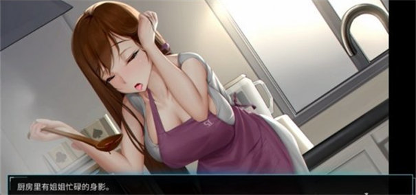 我的镜头人生冷狐版