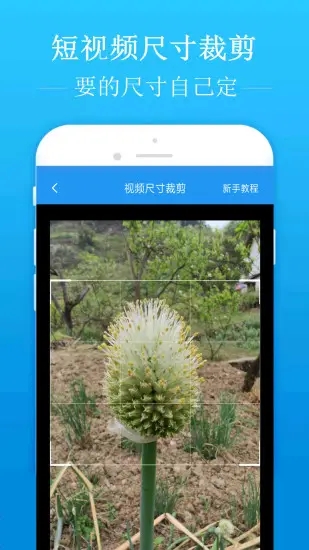 去水印吧内购版
