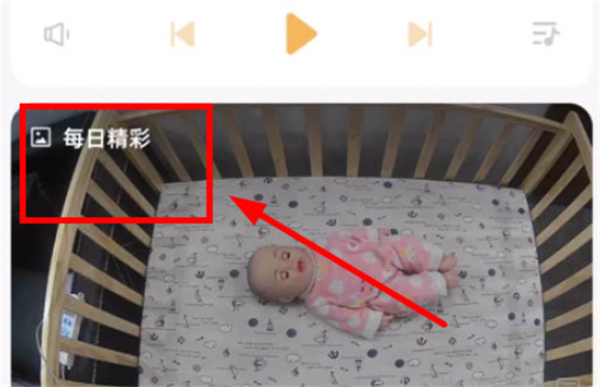 海马爸比