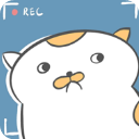 主播和猫的故事折相思