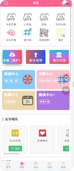 次元猫图片