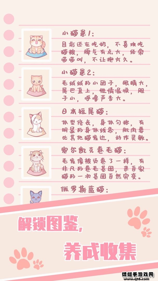 云撸猫咪游戏 1.3安卓版