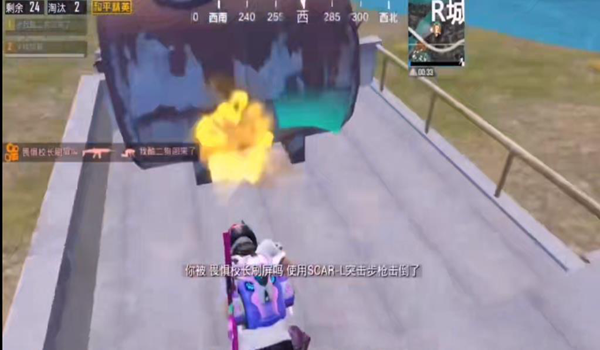 和平精英酷二狗同款美化包