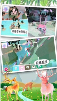 米加世界奇妙森林