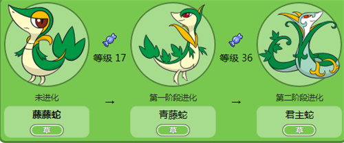 口袋妖怪漆黑的魅影6.0草腾蛇