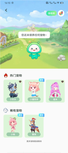 飞火动态壁纸13