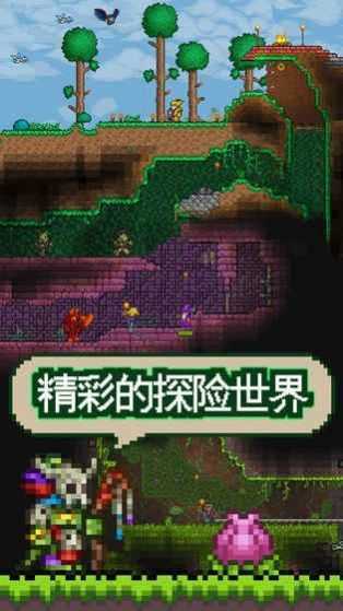 泰拉瑞亚1.4.5.1