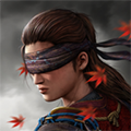 影子猎人的传说汉化 (Ryuko)无限货币版