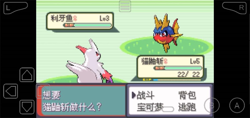 口袋妖怪绿宝石随机版中文版 1安卓版