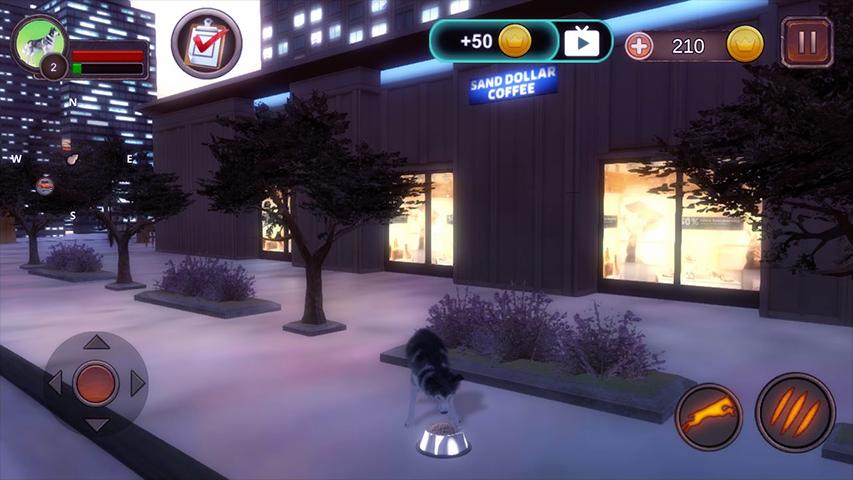 Husky Simulator(哈士奇模拟器无限金币) 1.0.1安卓版