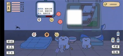 主播和猫的故事折相思