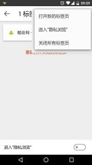 silk浏览器官方正版
