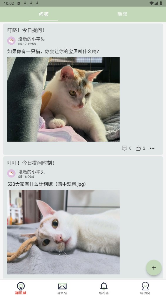 不知喵