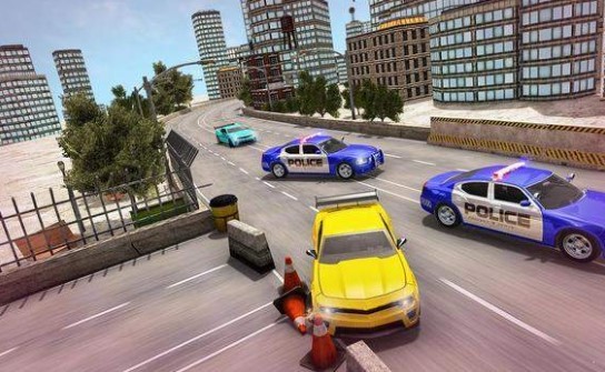 US Police Transport Simulator(US警车运输卡车2020官方版) 1.0.9安卓版
