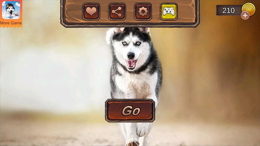 Husky Simulator(哈士奇模拟器无限金币) 1.0.1安卓版