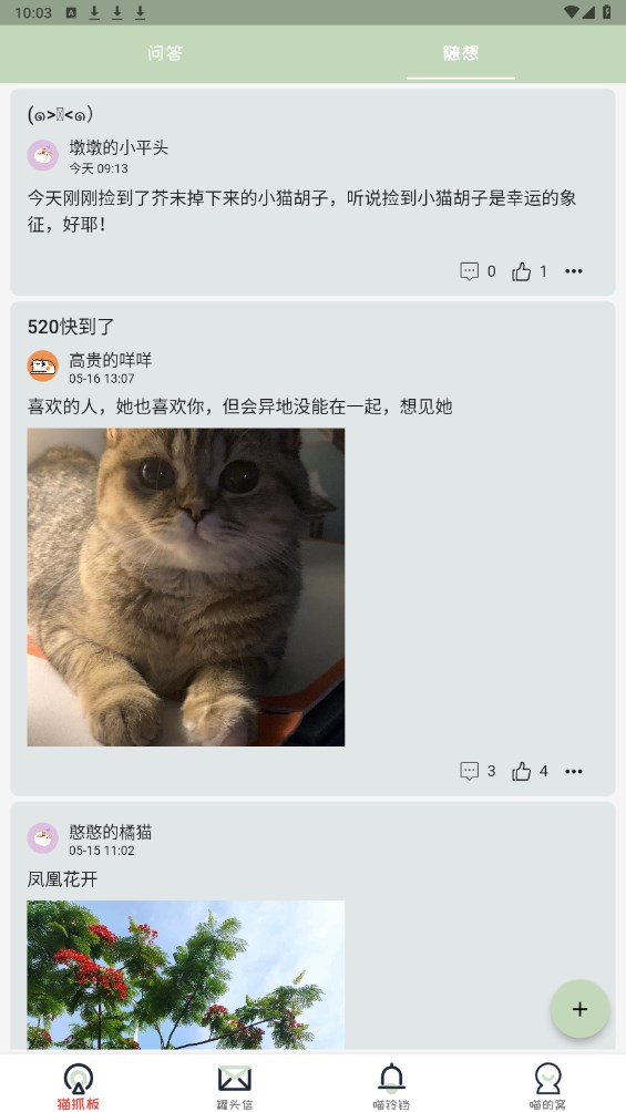 不知喵 1.0.0安卓版