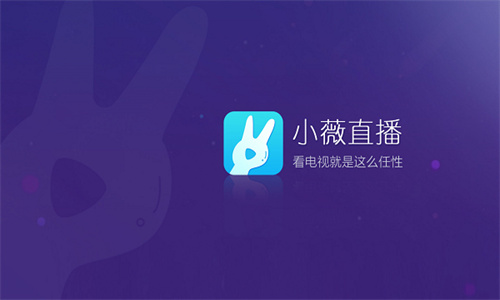 小薇直播tv版