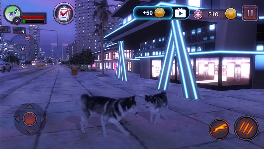 Husky Simulator(哈士奇模拟器无限金币) 1.0.1安卓版