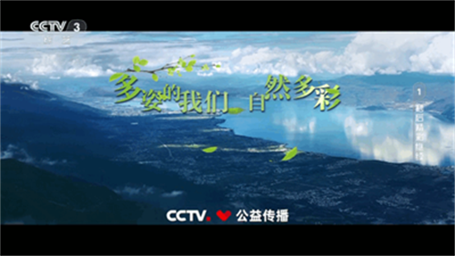爱尚电视TV6.6.6版本