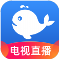 小鲸电视tv版