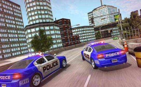 US Police Transport Simulator(US警车运输卡车2020官方版) 1.0.9安卓版