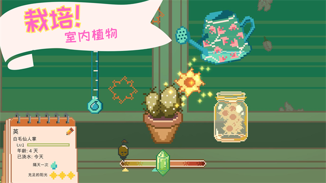 窗边花园免广告