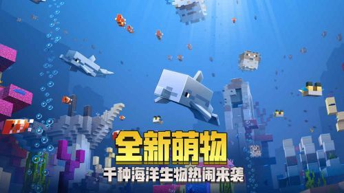 我的世界国际版