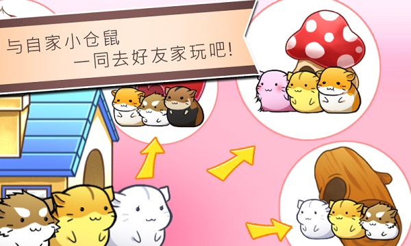 仓鼠的日常国际版