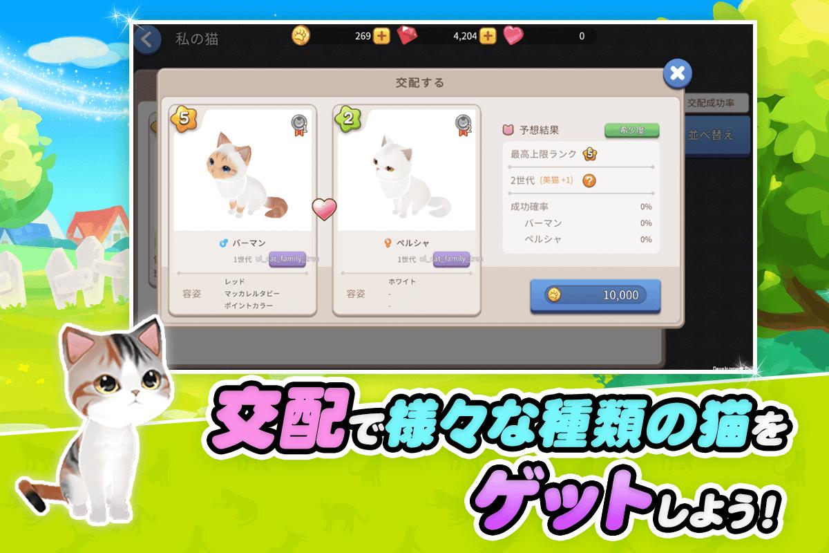 My Little Kitty(我的猫咪咖啡厅官方版) 1.0.2安卓版