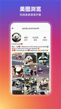 instagram官方正版免费