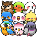 Bird Life(小鸟生活破解版) 1.6.16安卓版