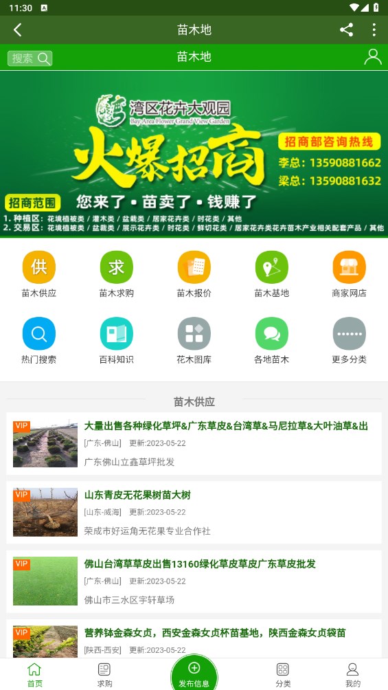 苗木地