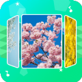 音乐相册助手app免费版v1.1.0安卓版