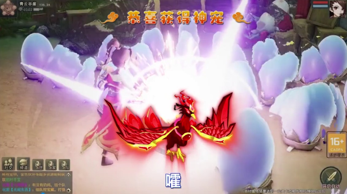 万灵仙引 1.0.2安卓版