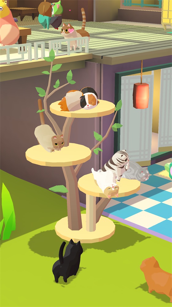我需要猫咪 0.6.5安卓版