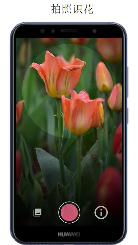 万物识别app 2.1.74.2501120安卓版