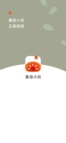 番茄小说手表版apk安装包