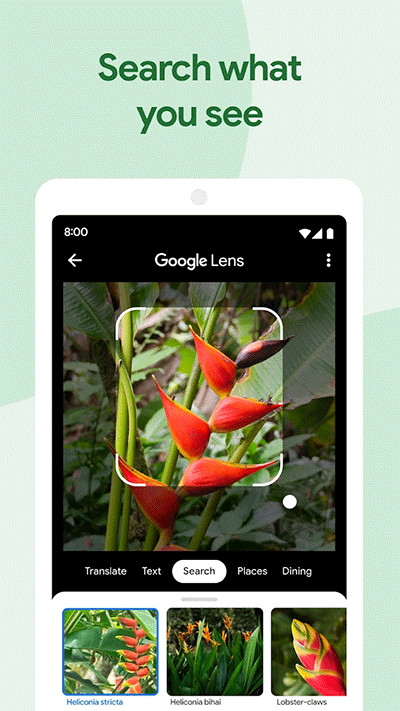 google相册官方版
