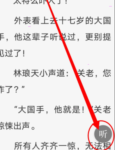 番茄小说vip版