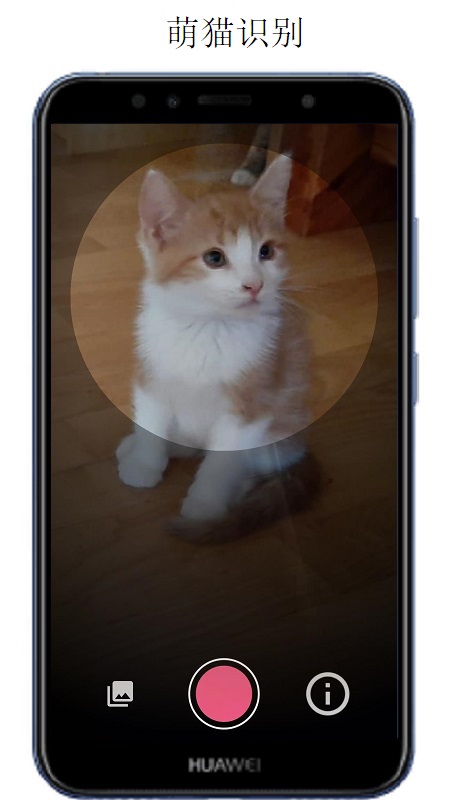 万物识别app 2.1.74.2501120安卓版