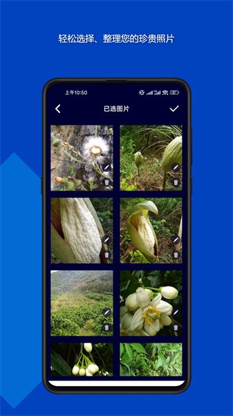 魔法音乐相册app 魔法音乐相册手机版