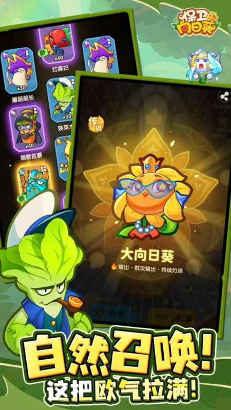 保卫向日葵无广告